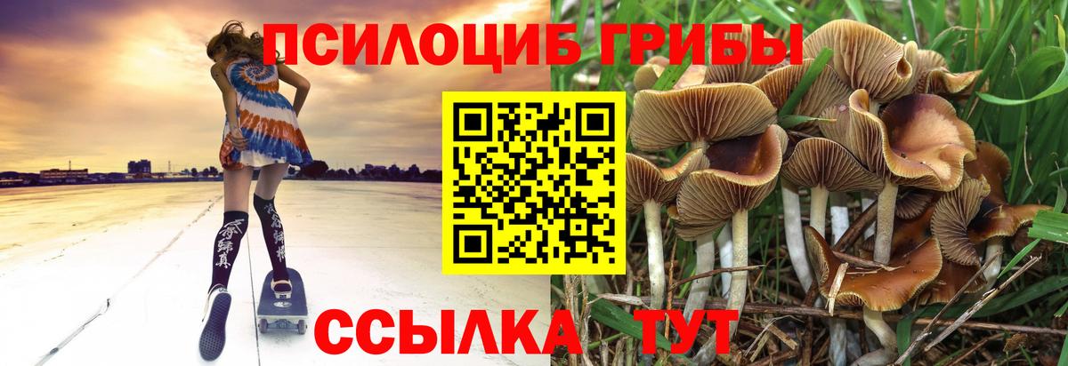 Галлюциногенные грибы MAGIC MUSHROOMS Асино