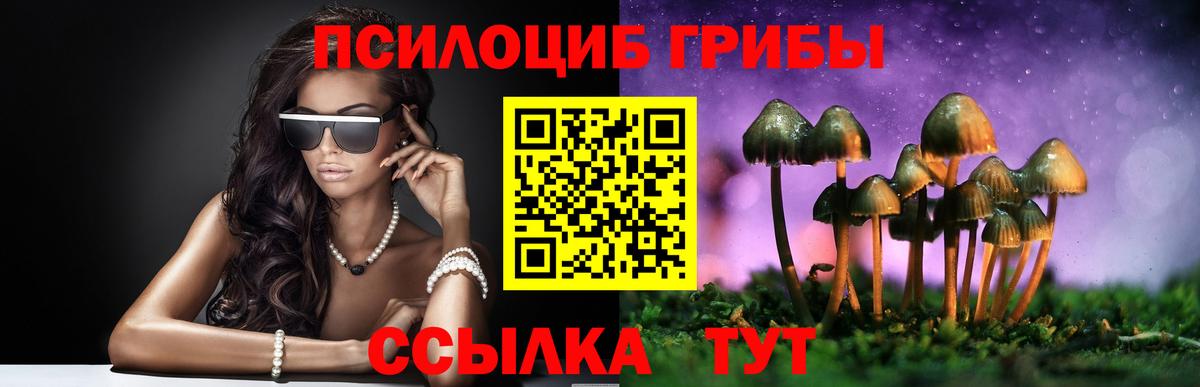 Псилоцибиновые грибы ЛСД  Псилоцибиновые грибы Cubensis  Асино  Вход с VPN 